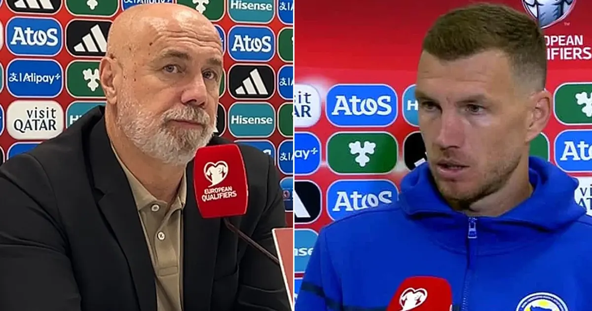 Sergej Barbarez i Edin Džeko