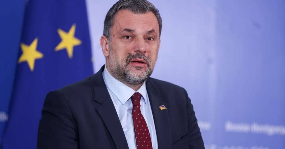 elmedin konaković