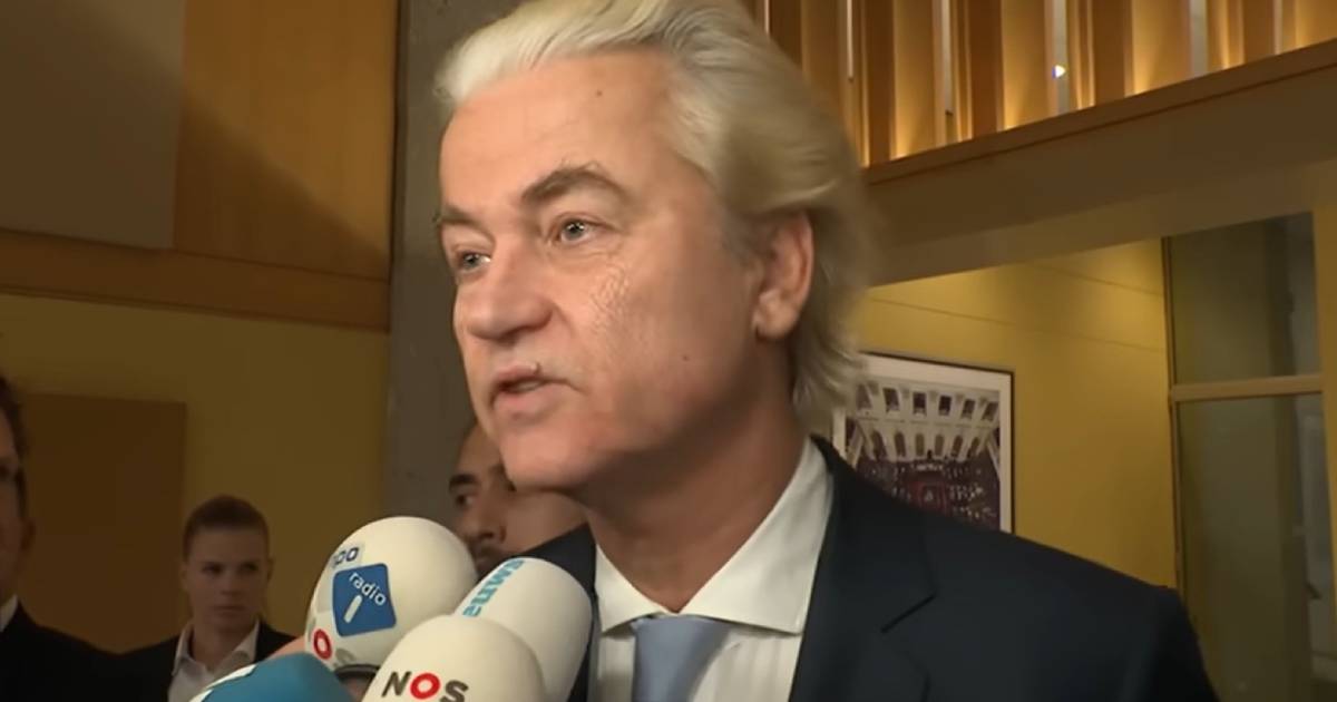 geert wilders