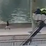 louvre