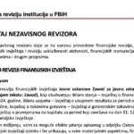 revizorski izvjestaj