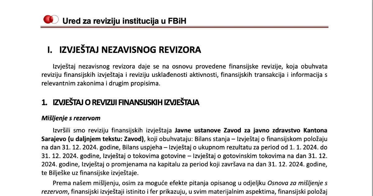 revizorski izvjestaj