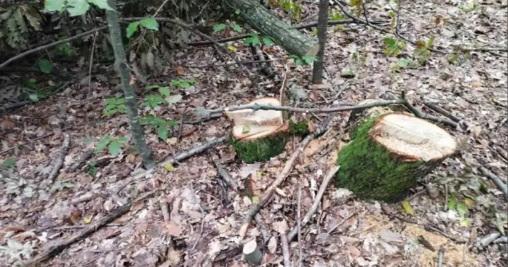 Foto: PU Banja