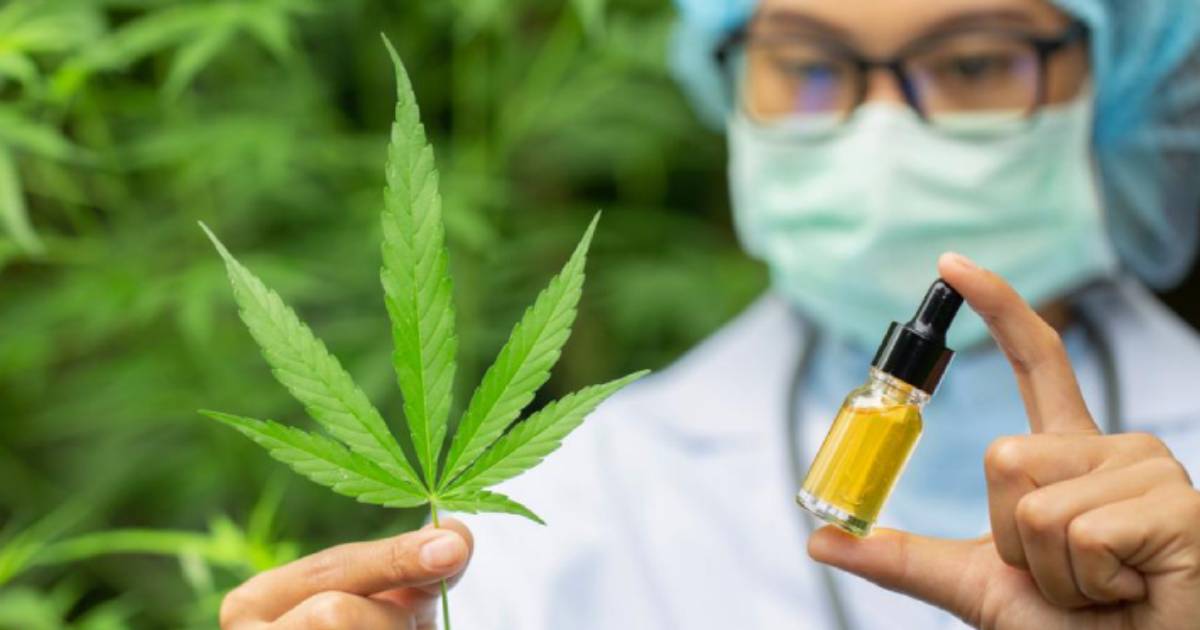 Legalizacija kanabisa u medicinske svrhe