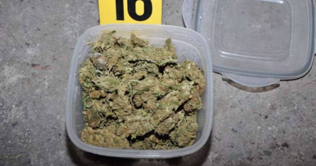 droga marihuana