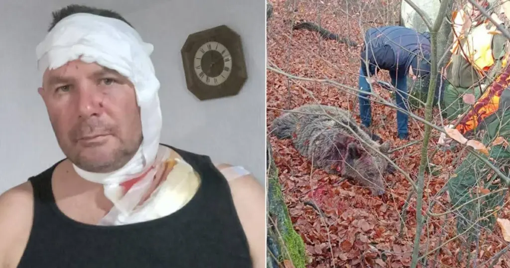 Edina Vejzovića preživio napad medvjedice: “Iznenada se bacila sa visine”