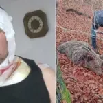 medvjed napad konjuh