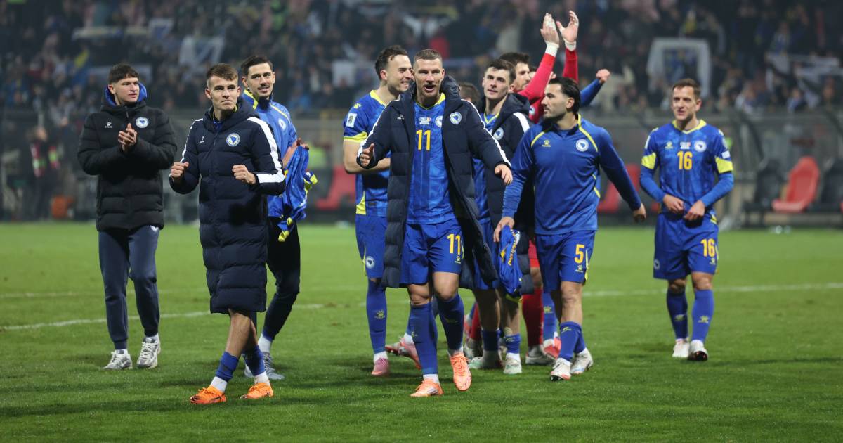 nogometna reprezentacija bih zmajevi