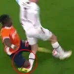Edin Višća