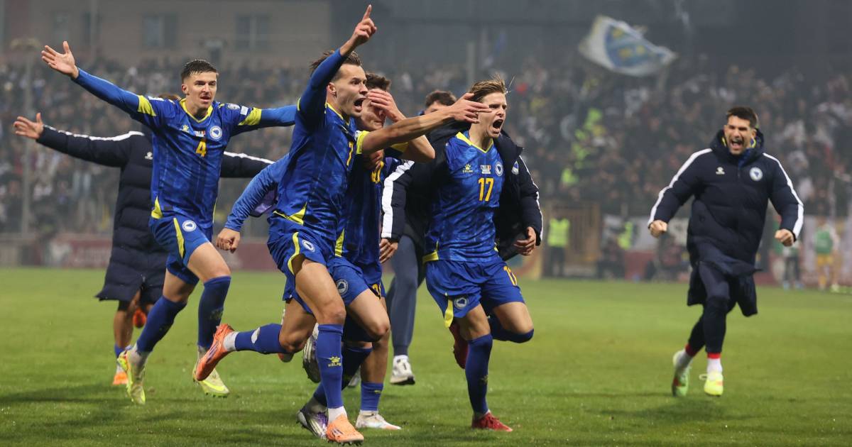 zmajevi reprezentacija bih