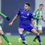 Detalj sa utakmice Dinamo - Betis