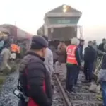 Voz naletio na krdo slonova, sedam ih je poginulo