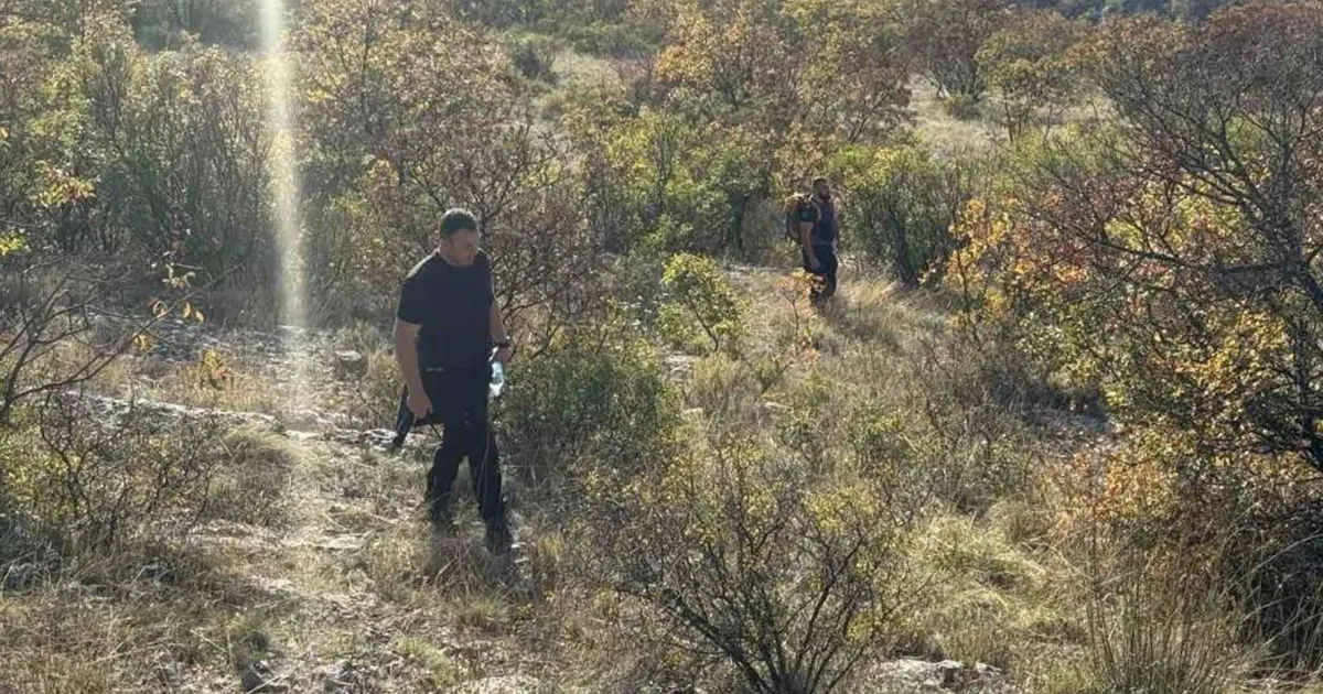 Potraga za nestalom osobom