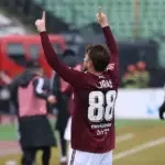 Adem Ljajić