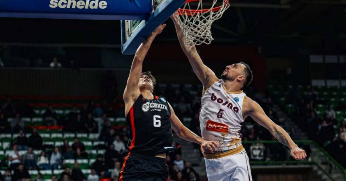 bosna cedevita