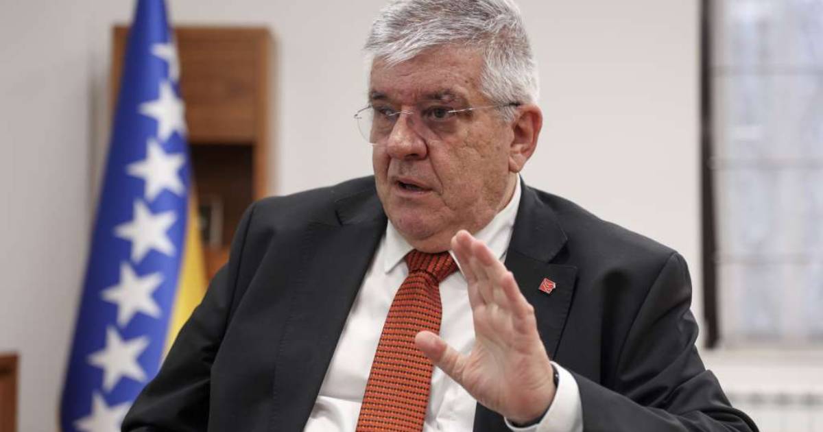 dragan miokovic