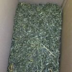 droga marihuana