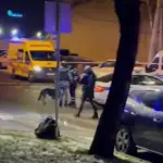 eksplozija u moskvi