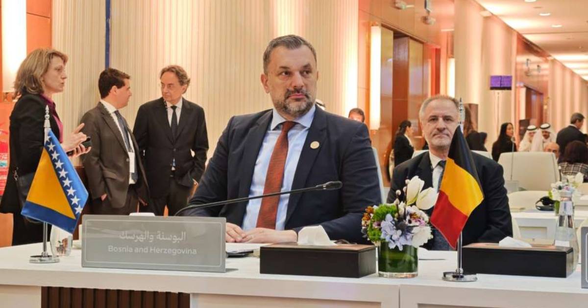 elmedin konakovic