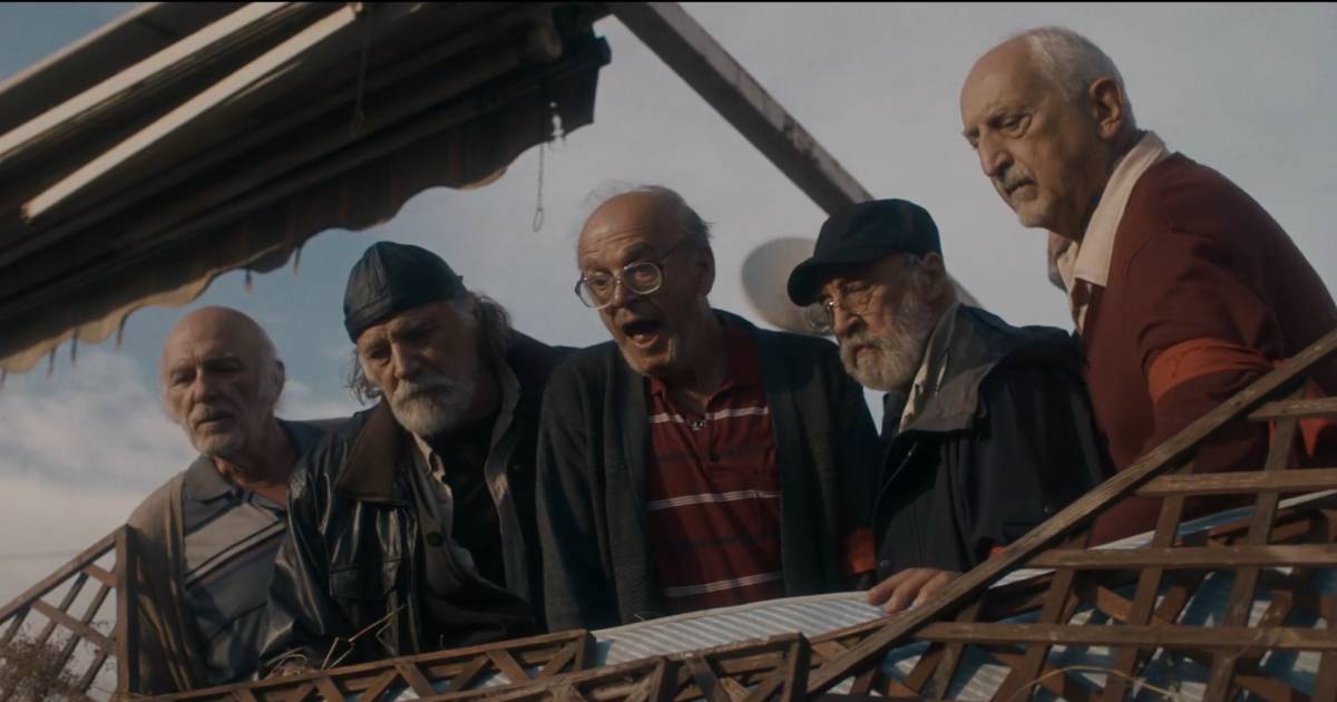 film paviljon