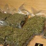 kanabis marihuana droga