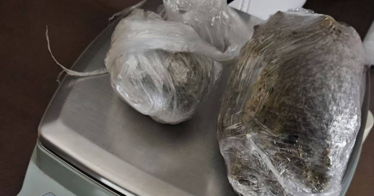 marihuana droga