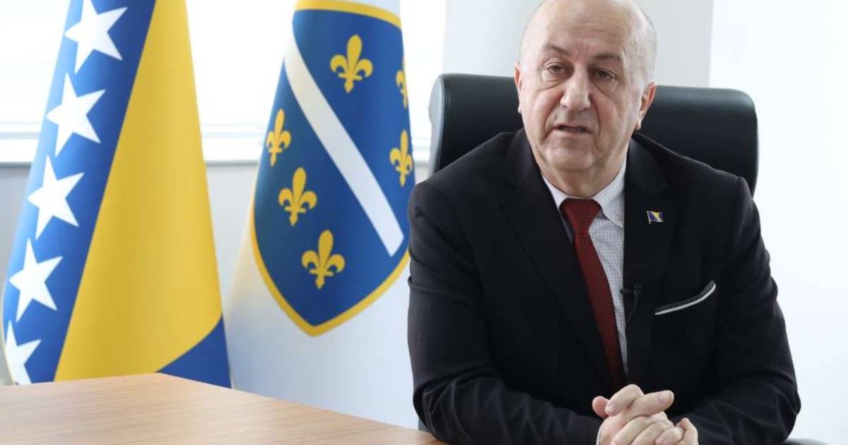 nedzad lokmic