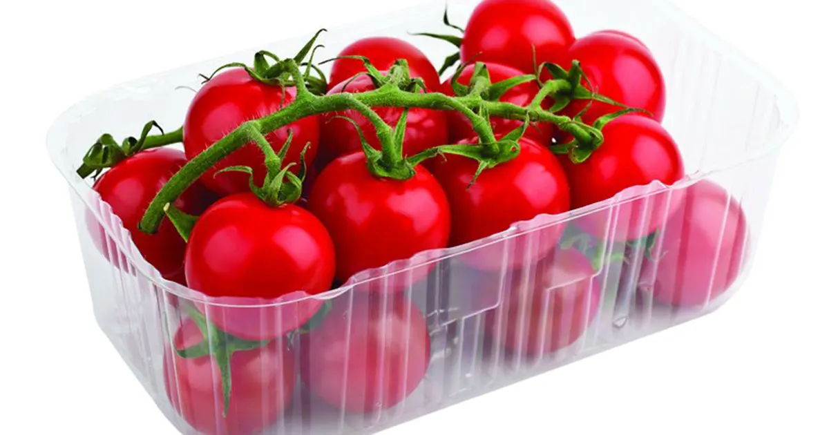 paradajz cherry