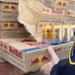 red bull uio