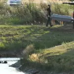 ubistvo mala subotica