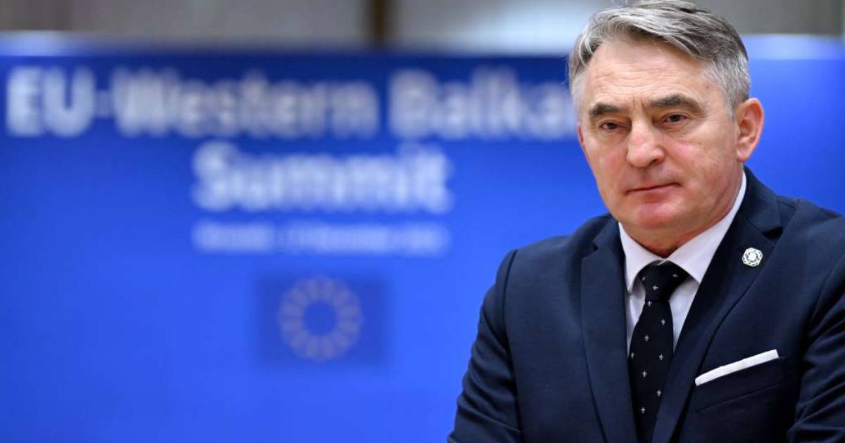 zeljko komsic
