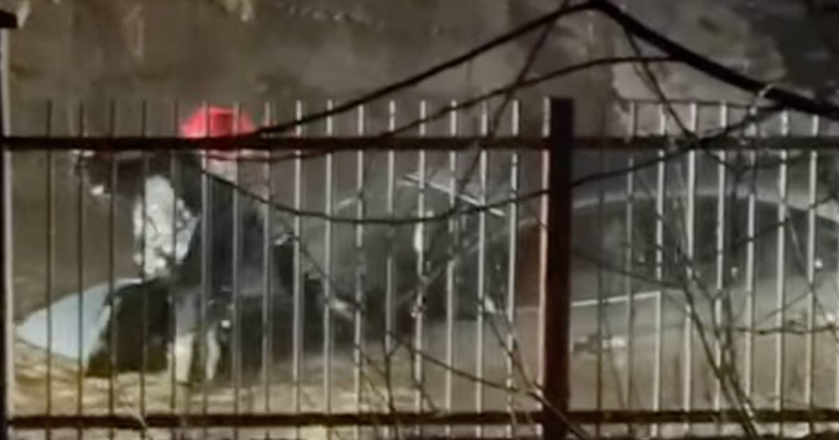 Poplave u Sarajevo