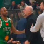 adis beciragic