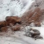 Stijena se obrušila na put