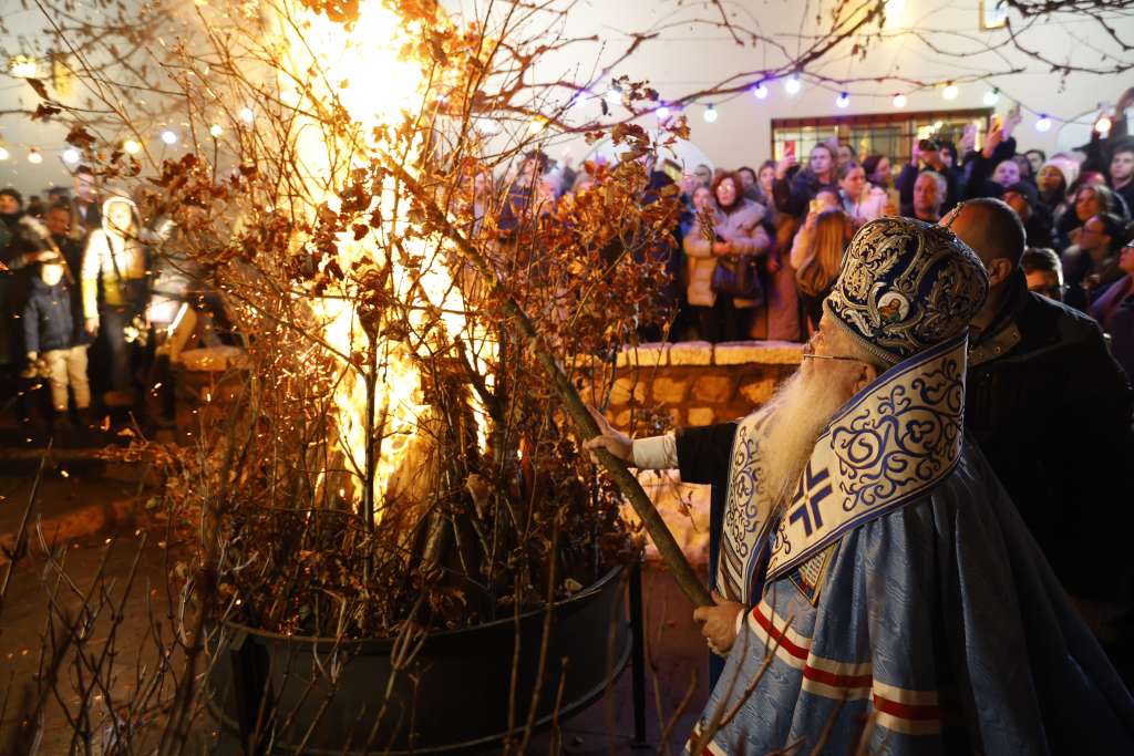 badnjak