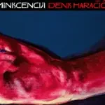 denis-haracic