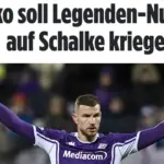 dzeko bild