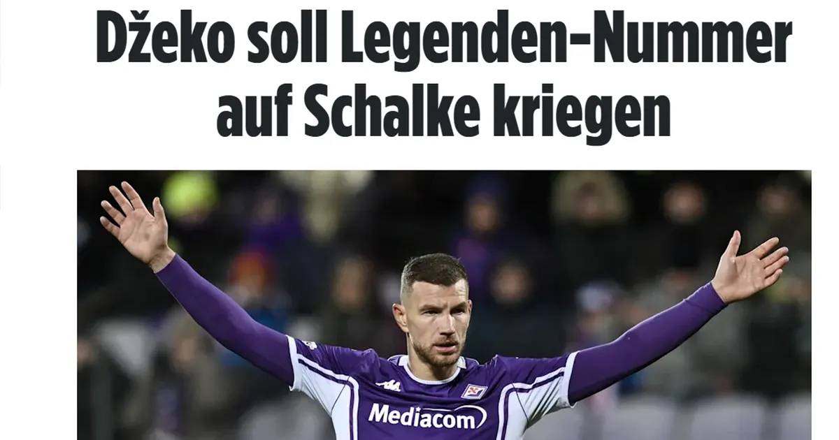 dzeko bild