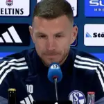dzeko schalke