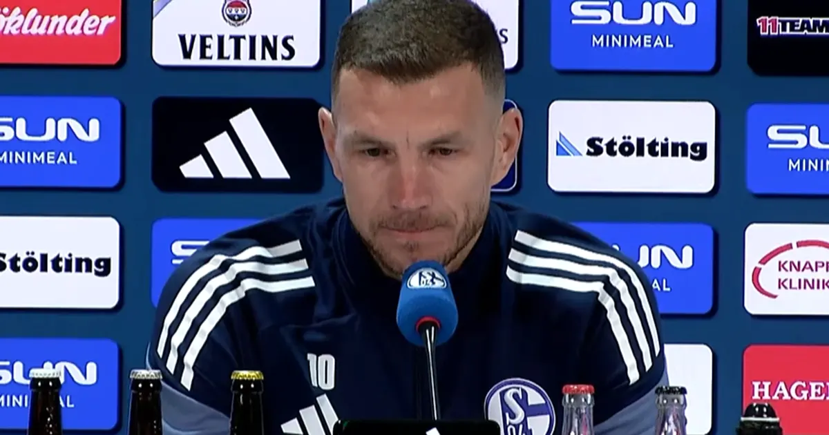 dzeko schalke