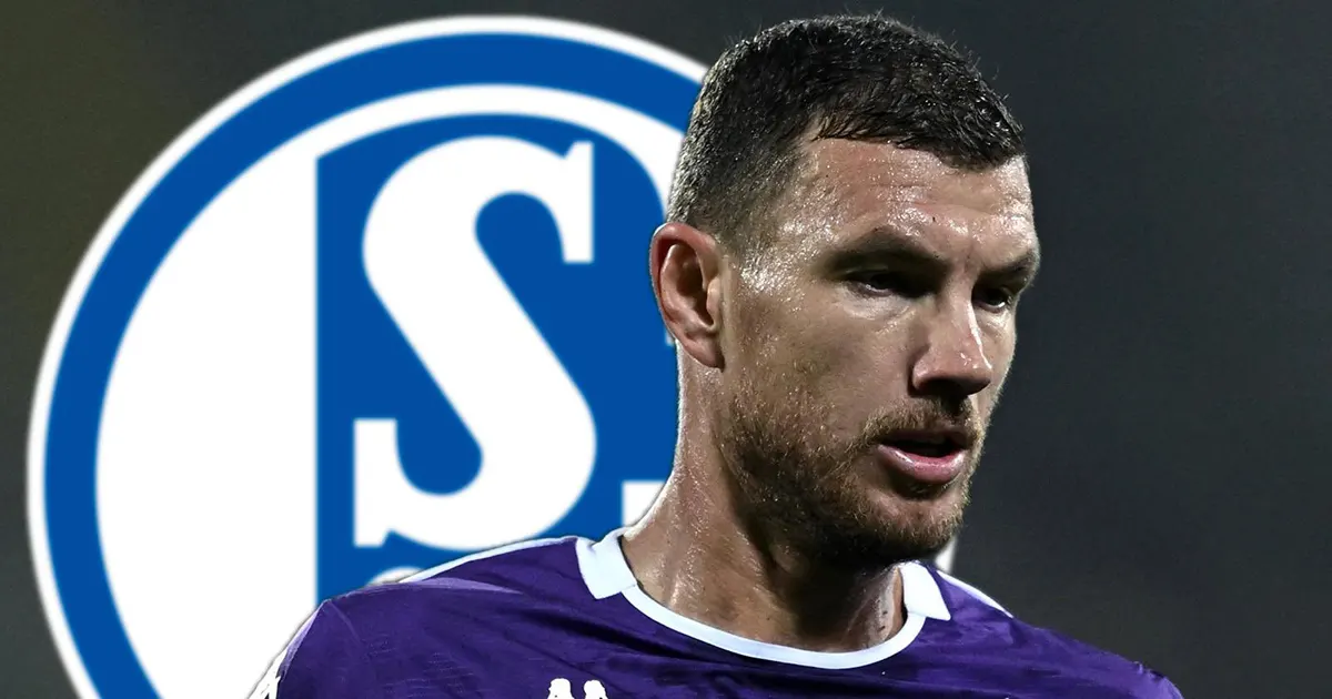 Džeko se dogovorio sa Schalkeom