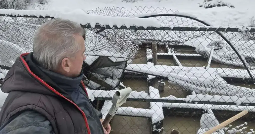 Ribnjak porodice Delić