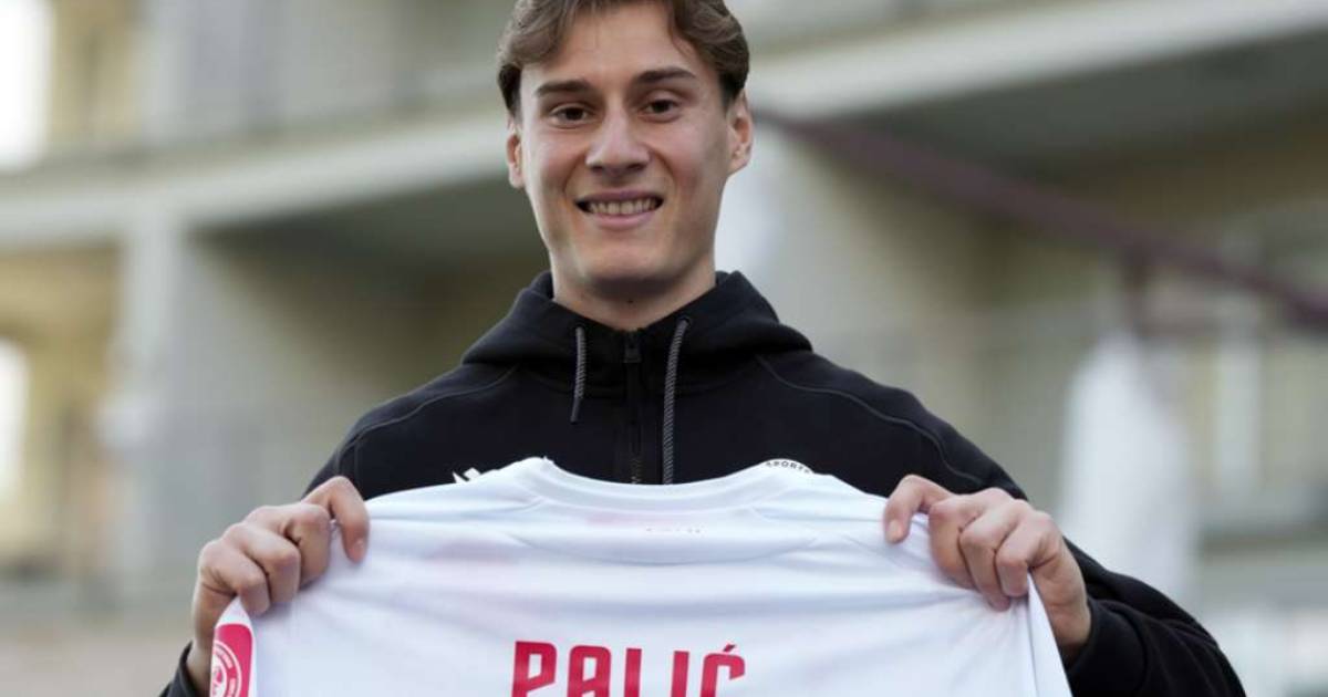 toma palic zrinjski