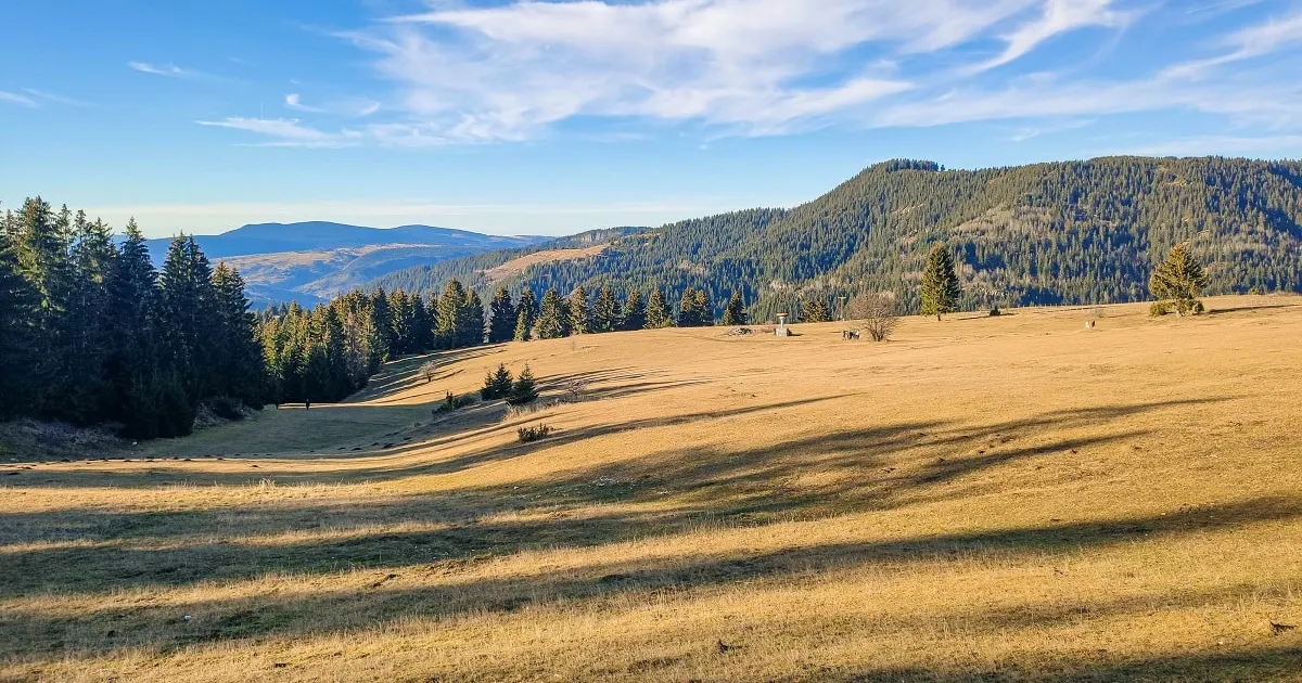 Na Vlašiću pronađen nestali Dario Koračinac