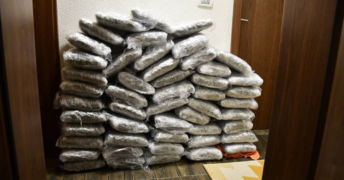Pronađena droga i Sarajevu