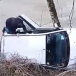 spasio vozača automobila