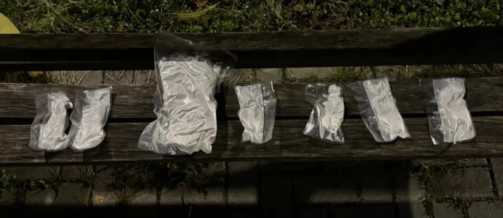 Zaplijenjena droga