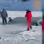 autobus u jezeru