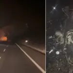 Avionska nesreća u Turskoj