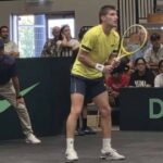 davis cup reprezentacija bih